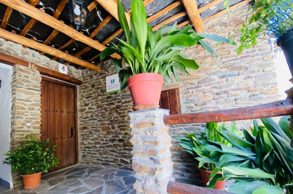 Muley Hacen Apartament